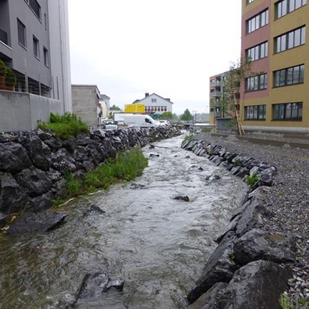 Ausbau Staldenbach, Pfäffikon